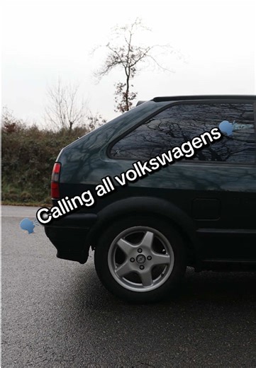 Calling All Volkswagens: A Tribute to Classic Cars