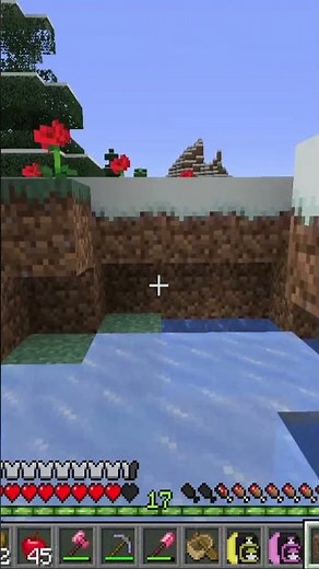 I was so excited to see Santa Claus 😂 #minecraft #pixelmon #minecraftshorts #minecraftmods