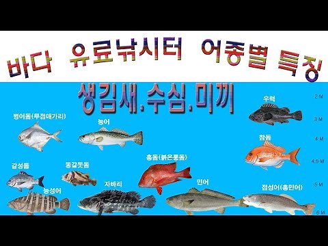 #바다낚시터 어종#유료낚시터 고기종류 /바다낚시터 수심/#바다낚시미끼/고기 어종별 공략