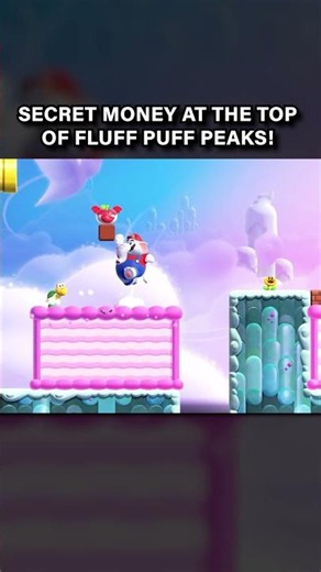 So Many Secrets Like NSMB Games!