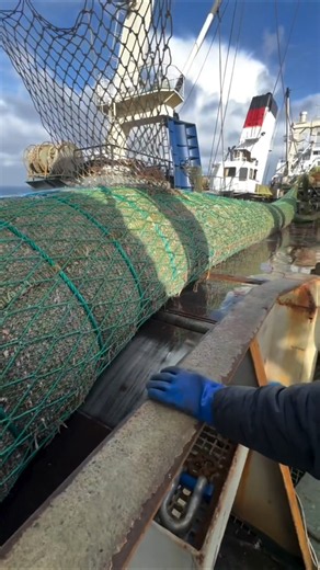 Why is this large net different from other normal nets? #shorts