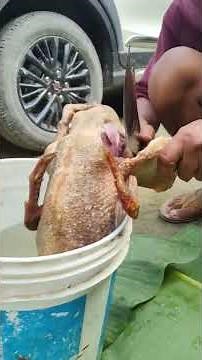 How To Make Juicy Roasted Duck At Home Super Easy | Cook With Me #duck #cooking #shortsfeed