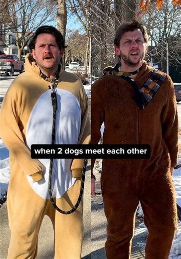 When Two Dogs Meet: A Hilarious Encounter