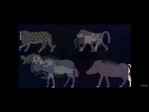 Animals book version