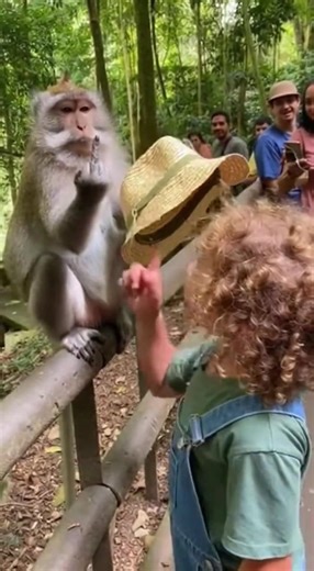 Funny Monkey Steals Girl’s Cap and Shows Middle Finger 😂🐒 | AI Funny Shorts
