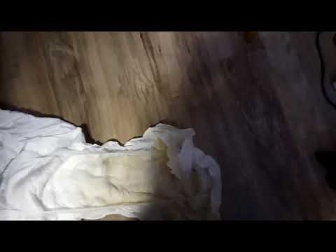 Windel Vlog #2