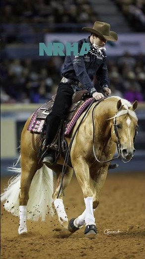 NRHA Maneuvers: Circles
