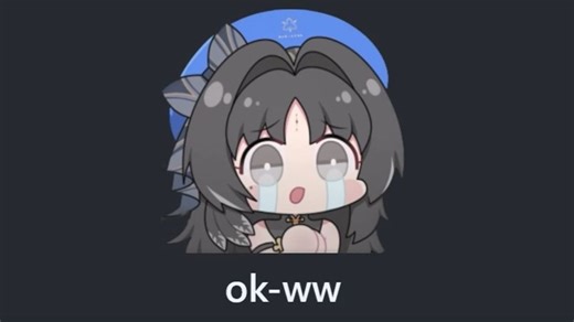 [鸣潮] 2.5 okww 自动刷声骸 自动肉鸽 一键日常 教学视频