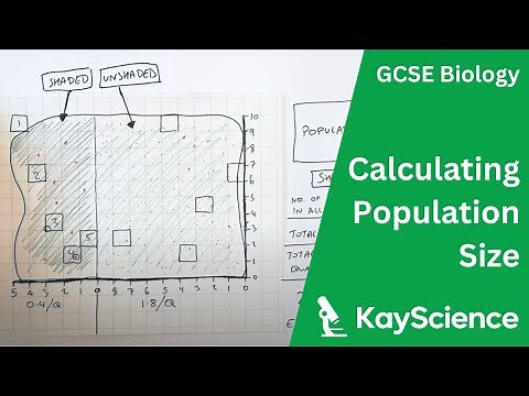 Using Quadrats Required Practical - GCSE Biology | kayscience.com