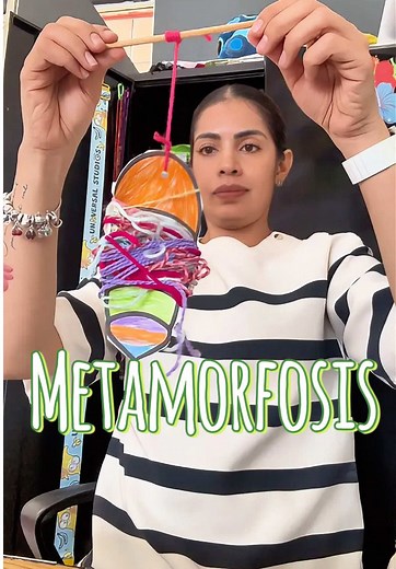 La metamorfosis de la mariposa para niños