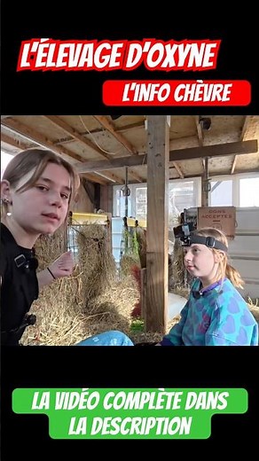 Goat info #lelevagedoxyne #goat #bebechevre #babygoats #elevage #agri #shortvideo