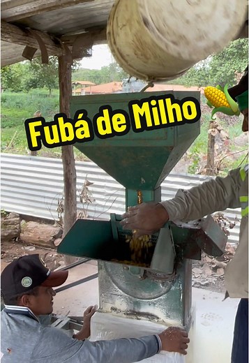 Transformando Milho em Fubá para Ovelhas