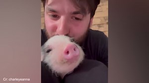 Obsessed pets who just can’t get enough of their humans