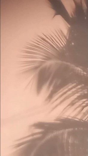 The Ultimate Guide to Stargazing (From Beginner to Master)