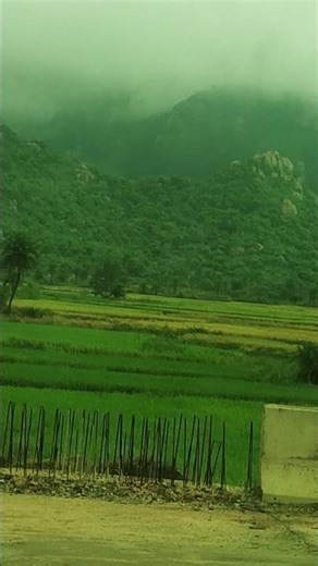 Beautiful ❤️ Deoghar 🌹Trikut parvat #song #youtubeshorts