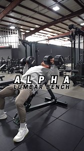 Alpha Series • Adjustable Lumbar Bench Available for QUICKSHIP - Made in USA 🇺🇸 Multiple adjustments allow for a custom feel for the user standard wheels making this bench mobile for any spot in the gym. #weightlifting #madeinusa #gymmotivation #fyp #explore | Arsenal Strength