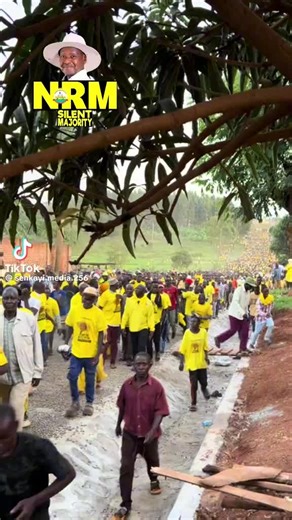 alien skin (@fangoneforest64)’s videos with original sound - TOWEL BOYZ 256