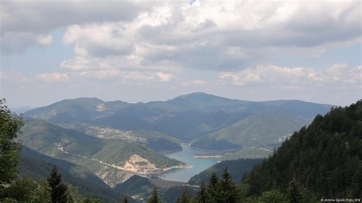 Serbia: Endemic spruce at risk of extinction due to heat