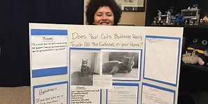 Kid's Science Fair Project Answers the Eternal Question: "Do Cat Butts Really Touch All the Surfaces in Your Home?"