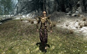 Dragon Priest Animation for Playable Races