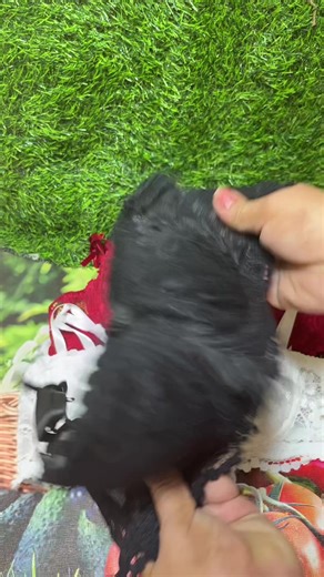 Comfortable Lace Shapely Bra for Women