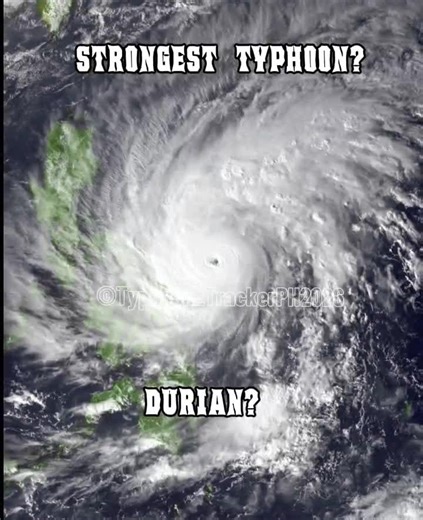 Quién es el más fuerte entre nosotros? (Versión Tifón)