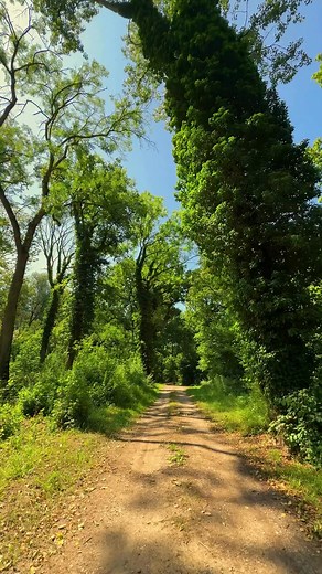 vivement la nature ❤ | Nature news