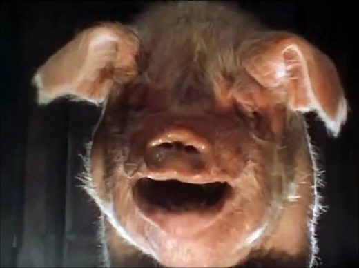 Animal Farm | movie | 1999 | Official Trailer