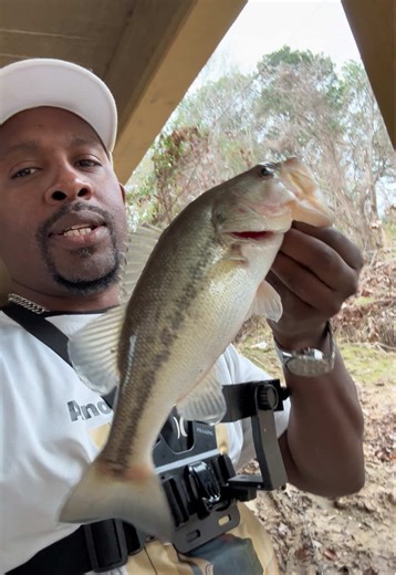 Freshwater Fishing Adventures in Shreveport, Louisiana