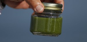 How your diet contributes to nutrient pollution and dead zones in lakes and bays