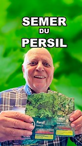 Semer du persil facilement #persil #semis #semer #jardinage #plantes #astuces #conseils #recolte #ecologie #diy #graines | Buissonnets