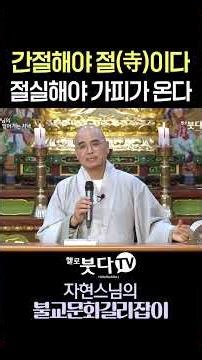 간절해야 절(寺)이다 🙏 빌어먹을(?) 정도로 절실해야 가피가 온다 #자현스님 #간절함 #현실직시 #복받는법 #기복신앙