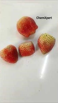 DNA isolation Practical Class 12 #experiment #science #class12 #strawberry #dnapurification