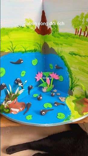 Make a frog life cycle model￼
