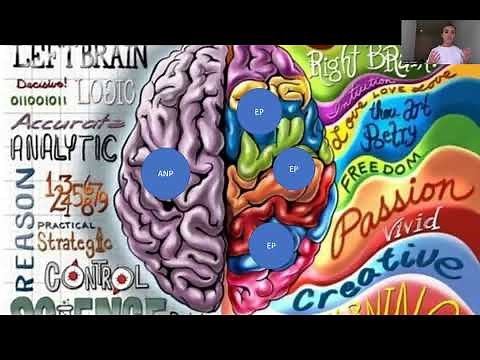 Structural Dissociation Theory and the Brain