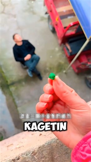 Alex Lagi Tidur Siang… Tapi Tiba-Tiba Suara Ini Muncul!