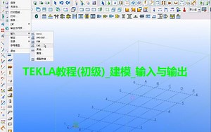 TEKLA教程(初级)建模_输入与输出