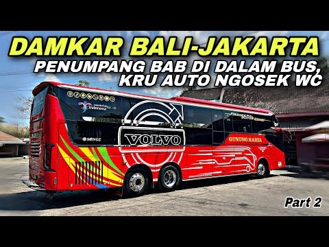 BALI - JAKARTA FIREFIGHTING 🔥 Passenger Defecates on Bus 😱| Gunung Harta DK 7307 GH trip “The Cha...