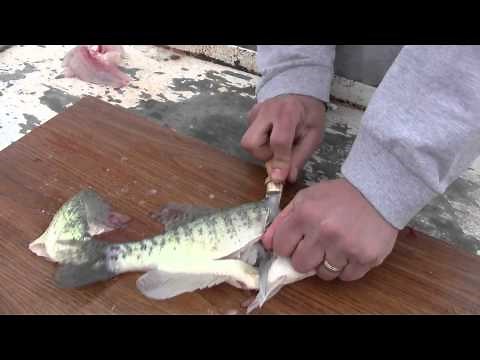 How To Fillet a Crappie WITHOUT an Electric Knife in 25 Seconds
