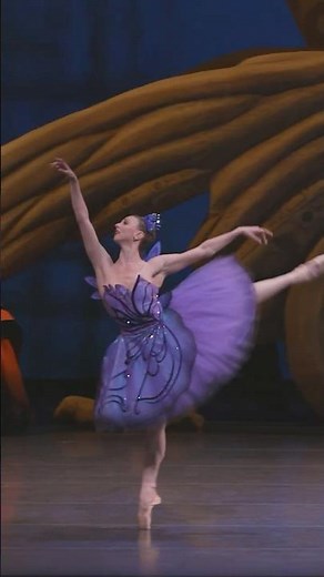 Fairies from The Sleeping Beauty 🧚 #ballet #costumes