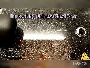 FANLAI electric multicooker.