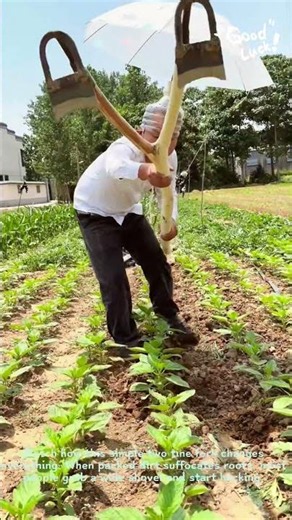 Gardening Hacks Loosening Soil With A Two Tine Hoe