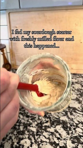 Fed with hard red wheat, happy and ready to make bread with! #freshlymilledflour #sourdoughstarter