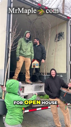 Big Tree Unloading for Open House Excitement!