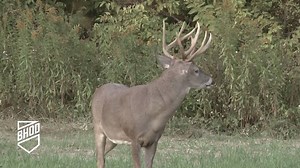 A highlight video to get you pumped up... for more Bowhunt Or Die! | Bowhunting.com