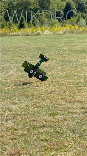E-flite S.E. 5a perfect landing! #wikdrc #aviation #horizon #rcaircraft #wwihistory #biplane