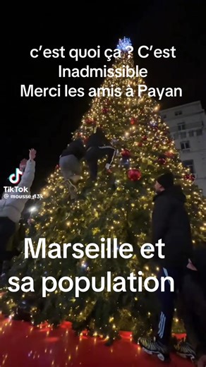 Arbre de Noël à Marseille: Justice pour Payan