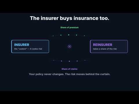 What Is Reinsurance? Insurance for Insurance Companies