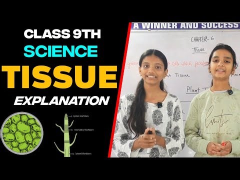Class 9 Biology Tissues Full Chapter in One Video | All Types Explained | NCERT | MP Board 2026