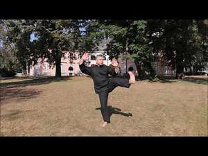 Tai Chi 10 Form